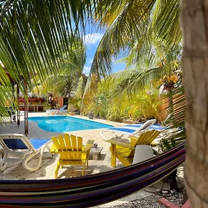 https://oasis-guesthouse-bonaire.comcaribbean.com