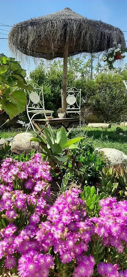게스트하우스 Blacksheep Sagres Guesthouse & Surf