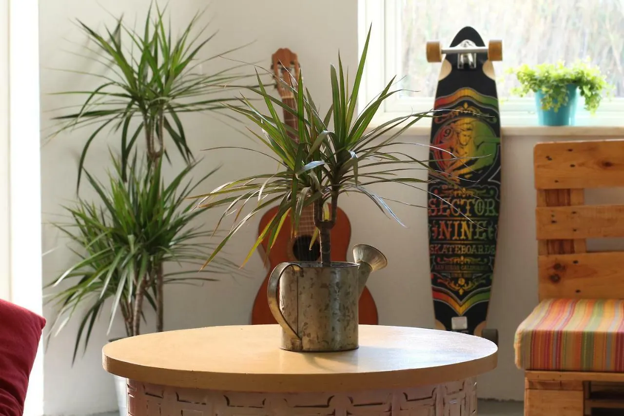 Blacksheep Sagres Guesthouse & Surf
